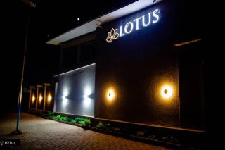 Lotus - 4
