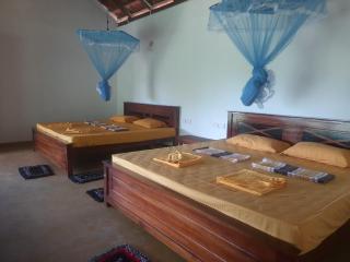 Silver Hill Ecovillage - Kurunegala - 1