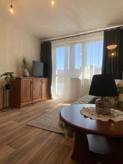 Retro Apartment Gdańsk - Gdańsk - 9