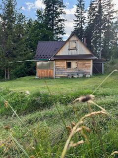 Terenowka Bacowka - Waksmund - 1