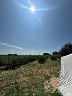 Kings Head Udimore - 1