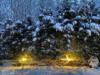 Faget Forest Villa Cluj - 5