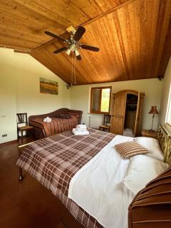 Villa San Lorenzo - Todi - 4 bed and pool - Todi - 1