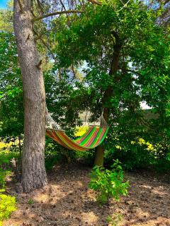 Domki Zacisze odpocznij wśród natury w Wielkopolsce - 1