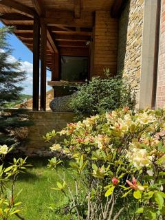 Luxury Villa - 3