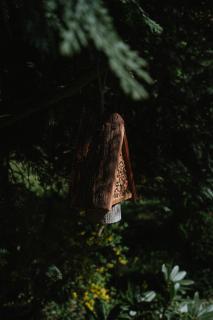 Au Bois Dormant gîte 15 personnes - Lapoutroie - 3
