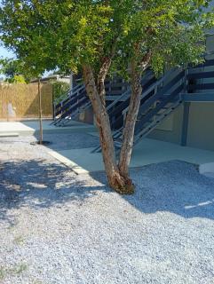 Adamis garden apartments - 6