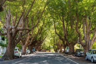 Stylish New Farm Studio Near Cafes & River - Brisbane - 0