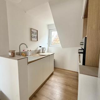 Appartement neuf et moderne - Mulhouse - 4