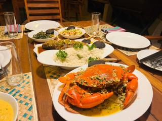 Kingfisher Beach Resort-Yala - Kirinda - 4