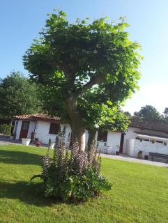 petit esperantza - Saint-Pée-sur-Nivelle - 3