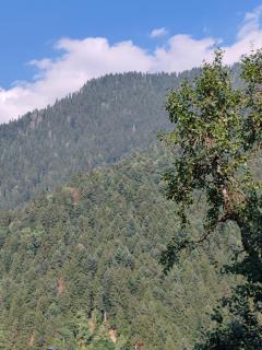 Napertskala Guesthouse - 8