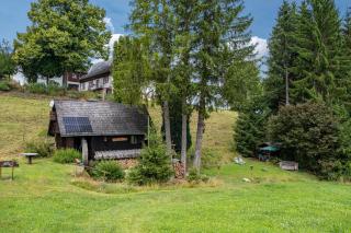 Mühle am Wolfsgrund - Unterkirnach - 0