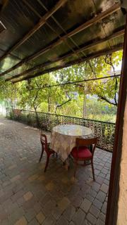 Light & Cozy House - Dobrovelychkivka - 8
