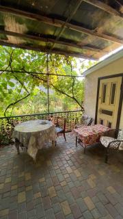 Light & Cozy House - Dobrovelychkivka - 4