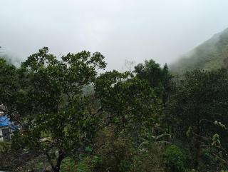 Roamwander doublerooms - 4