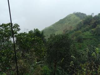 Roamwander doublerooms - 4