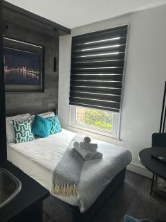 Modern 1Bedroom Studio in London Center - 4