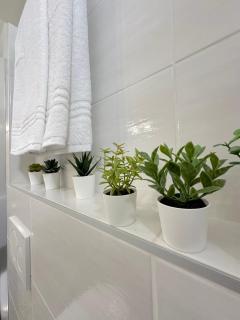 La Maison di San felice - Bolgna - 5