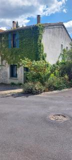 Gîte de L'estiu - Cascastel-des-Corbières - 9
