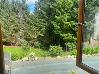 FOREST VIEW Woodland lodge - 4