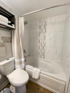 Modern Mountainside Ski In/Ski Out Studio at Blue - Blue Mountains - 6