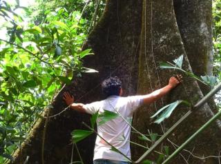 Aranyavaat Ecostay - 2