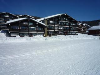 Beau Studio Cabine 4 pers, Parking, Balcon Sud, Les Saisies - FR-1-293-155 - Hauteluce - 3