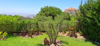 villa star hill Tanger - Tangier - 3