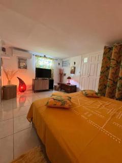 Appartement confortable à Sainte-Anne, 40 m², jardin - 5