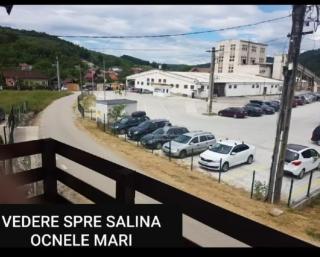 Casa Anghel Ocnele Mari - Ocnele Mari - 9