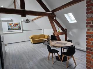 Appartement charmant à Beaugency, 60 m² + Douche moderne - Beaugency - 3