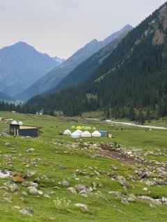 Aalam yurt camp Altyn-Arashan - Altynarasan - 1