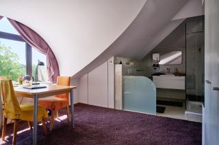 La Petite Bruyere De Renaix - 1