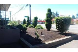 Townhouse Del Rancho Motel Portland Oregon 205 - Portland - 7