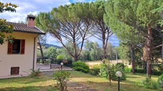 Villa Tiberina - Locazione Turistica - 8