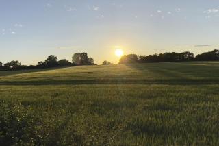 The Windmill Blackthorn Hill - Bicester - 1