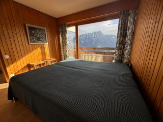 Dents du Midi A11 - Leysin - 5