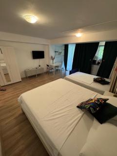 Beside Airport New - Otopeni - 5