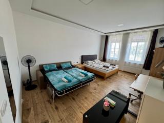 Apartment with Workspace and TV - Nový Lískovec - 7