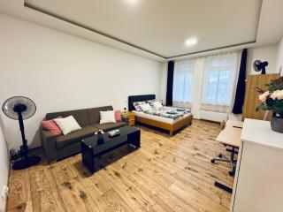 Apartment with Workspace and TV - 9
