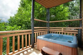 The Treasure Of Tennessee View 2 Hot Tubs Pool - 4