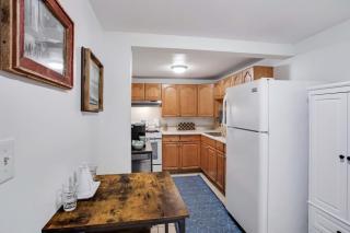 Cozy Garden Apartment in Chicago - 8