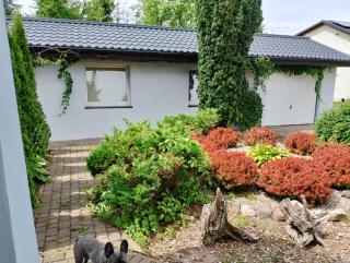 Mała Tyczkówka - 9