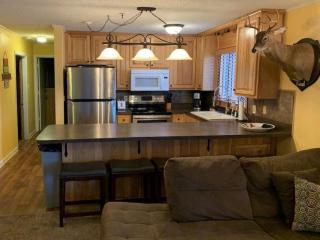 Winterplace Ski in Ski Out D101 First Floor - 3