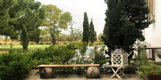 Henry Agriturismo Manfredonia - Ippocampo - 5
