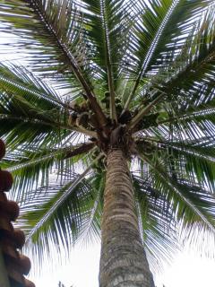 Pousada Mon Desir - 1