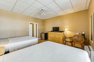 Studio with Direct 10K Islands Access Boat and Swim! - Naples - 5