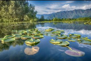 heritage new moon group of houseboat - Srinagar - 3