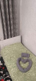 Guest house grizzly - 8